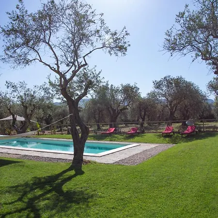 Oliveto Bed And Breakfast-3