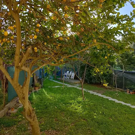 Lo Spicchio B&B-3
